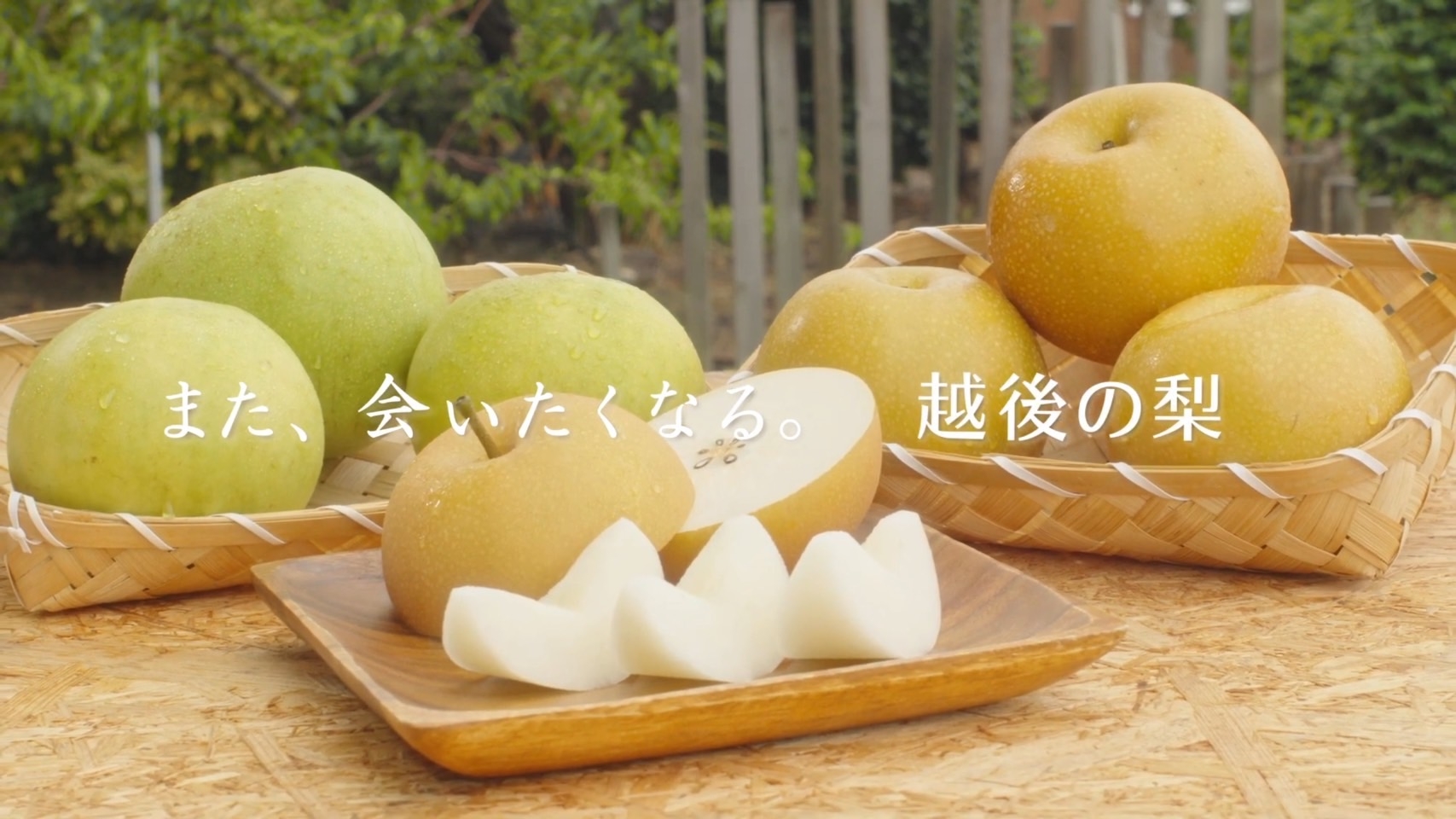 AGNET新潟「また会いたくなる梨」 - ON GOING | SunnyRain co., ltd.